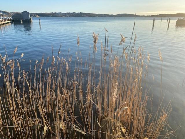 Mycket Trevlig På Brännö Med Havsutsikt * Branno